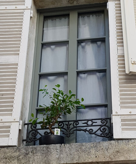 Fenêtre sur mesure à Paris : isolation et qualité pour votre habitat